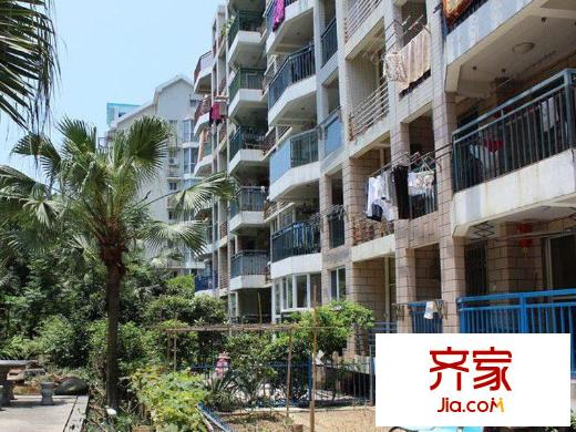 金山明珠外景圖 