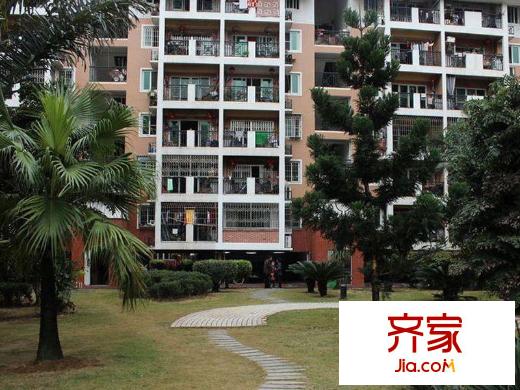金山碧水一期翠榕苑外景圖 