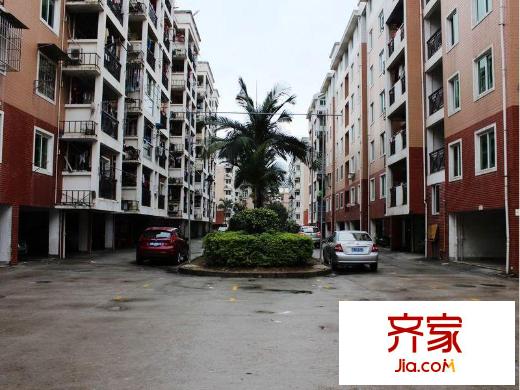 金山碧水一期翠榕苑外景圖 