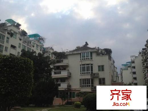 金山碧水一期友蘭苑外景圖 
