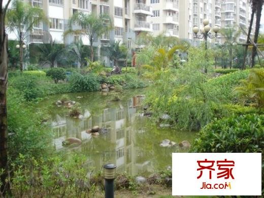 中茵加洲花城