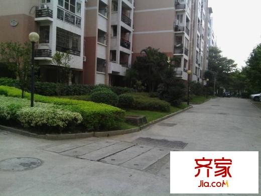金山碧水二期麒麟苑外景圖 