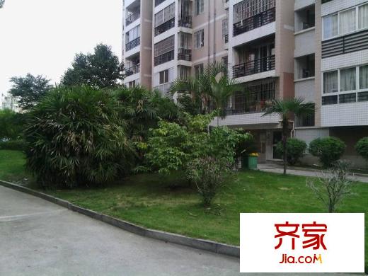 金山碧水二期麒麟苑外景圖 