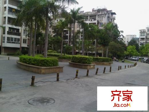 金山碧水二期麒麟苑外景圖 
