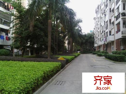 金山碧水二期麒麟苑外景圖 