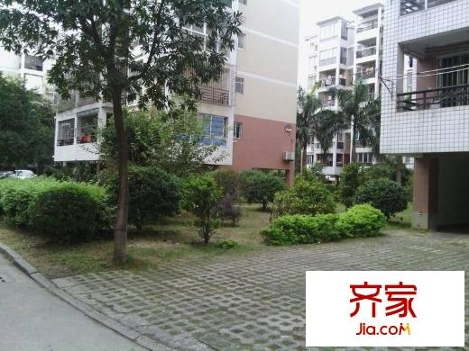 金山碧水二期摘仙苑外景圖 