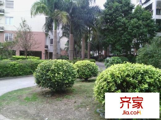 金山碧水二期摘仙苑外景圖 