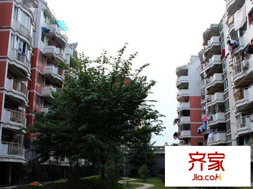 金山碧水三期冬馨苑外景圖 
