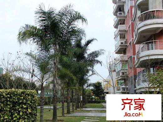 金山碧水三期冬馨苑外景圖 