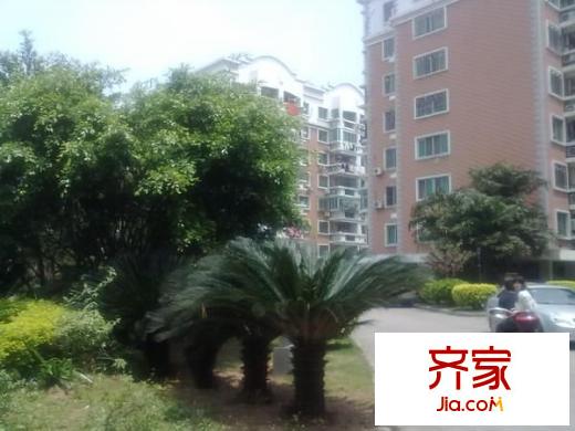 文華小區(qū)外景圖 