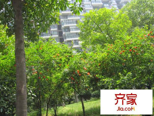 凱樂花園外景圖3棟
