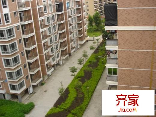 金山桔園二期泰園