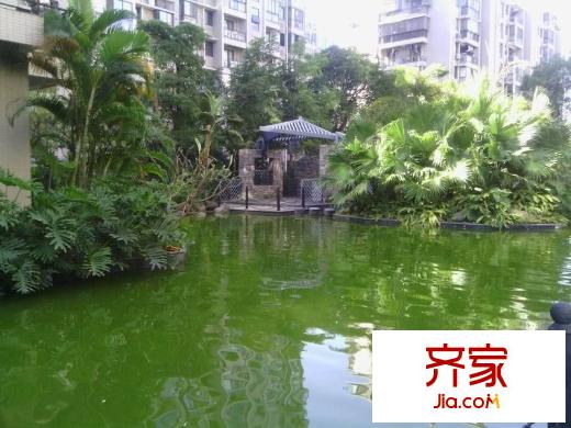 麗景天成