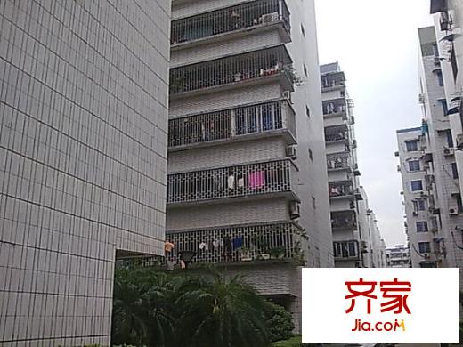 金暉新村外景圖 