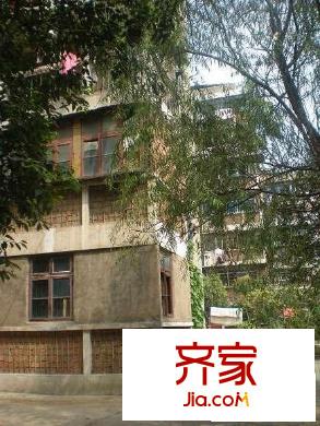 公路橋小區(qū)外景圖  