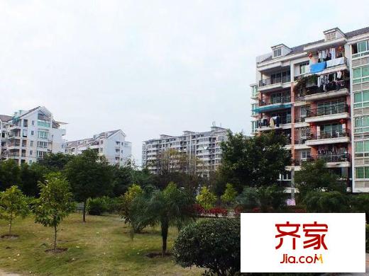 金山碧水三期春曉苑外景圖 