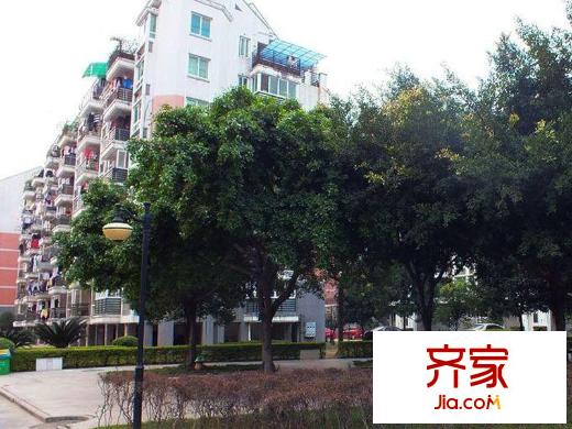 金山碧水三期春曉苑外景圖 