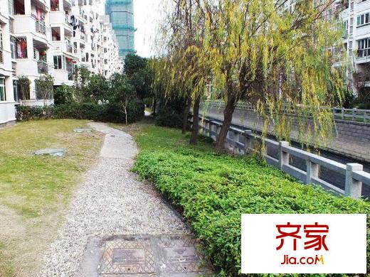 金山碧水三期春曉苑外景圖 
