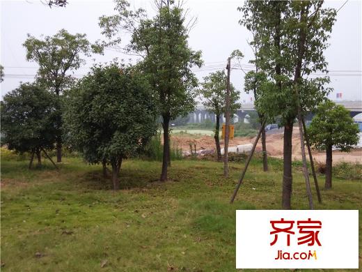 招商公園1872小區(qū)園林實(shí)景（20140910）