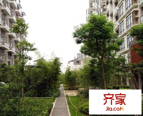 中天金海岸四期天驕苑外景圖 