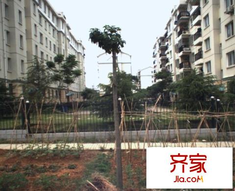 薛峰社區(qū)（還建房）外景圖