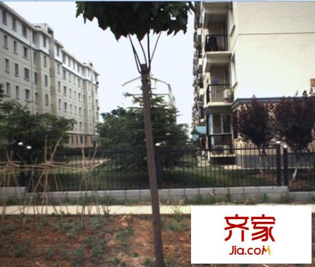 薛峰社區(qū)（還建房）外景圖