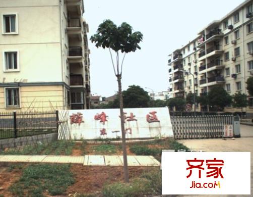 薛峰社區(qū)（還建房）外景圖