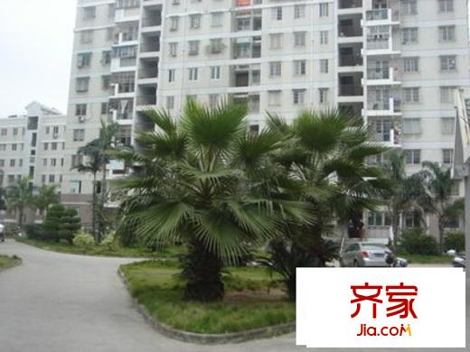建中小區(qū)外景圖 