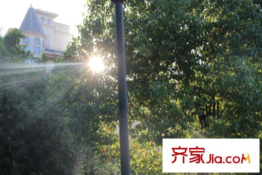 融僑觀邸配套圖閩江公園風(fēng)景20130808