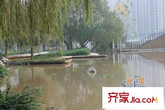 金山公元配套圖公園景觀