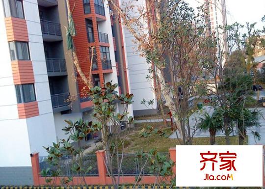 青揚(yáng)十街外景圖 