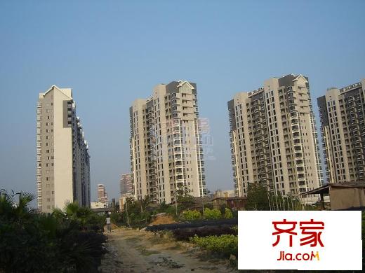 美林灣外景圖  工程進度