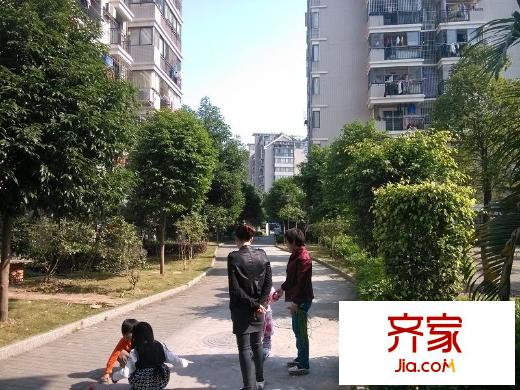 金山大景城外景圖 