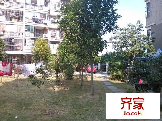 金山大景城外景圖 