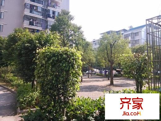 金山大景城外景圖 