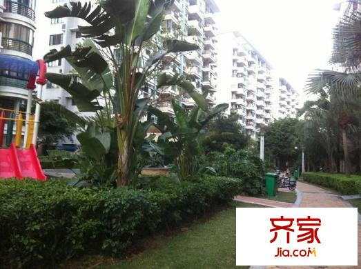 南國金輝外景圖 