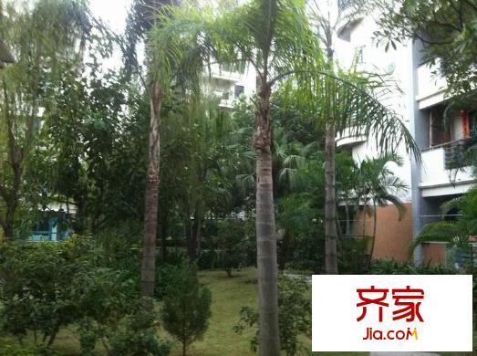 南國金輝外景圖 