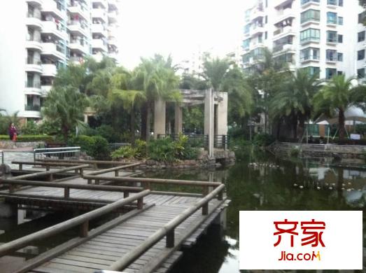 南國金輝外景圖 