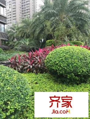 泰禾紅樹(shù)林A區(qū)外景圖 