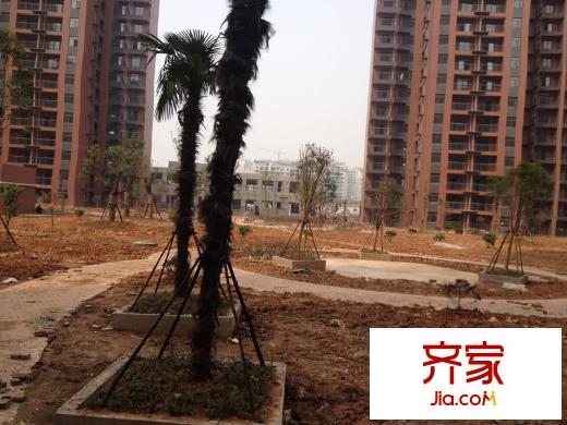 芷岸龍庭外景圖