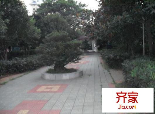 美城清芷園外景圖小區(qū)相關(guān)圖_1