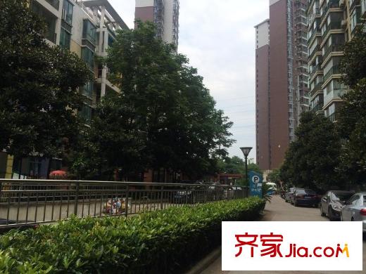 美城清芷園配套圖 周邊配套