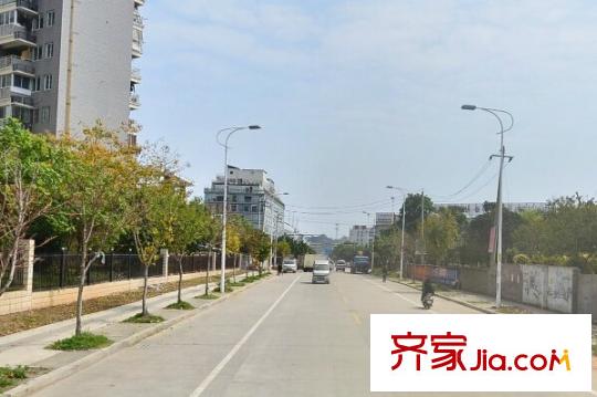 金山桔園三期配套圖周邊配套 街道