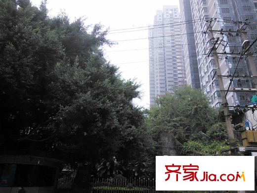 世歐王莊周邊的福州市市容管理局20140218