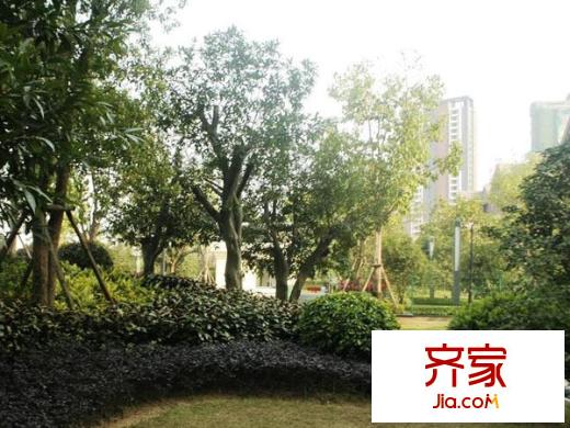 陽光理想城攬月外景圖 