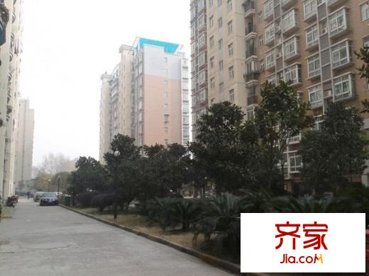 錦苑公寓外景圖 