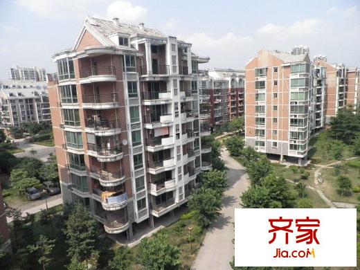 金山桔園一期龍苑外景圖 