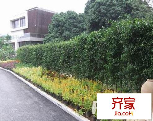 濱江荔園外景圖  