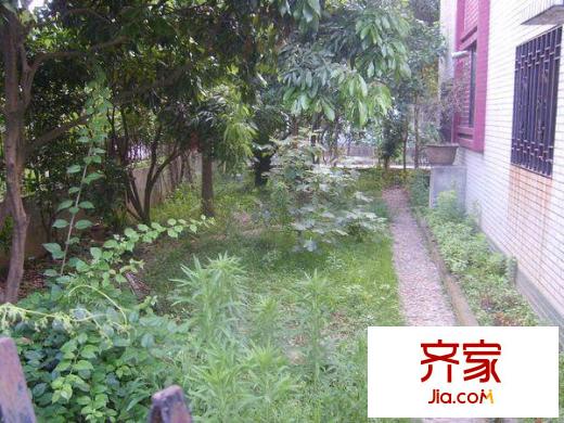 金橋花園牡丹苑別墅外景圖金橋花園-牡丹苑 