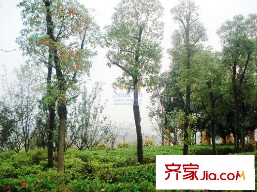 建發(fā)領域配套圖周邊配套